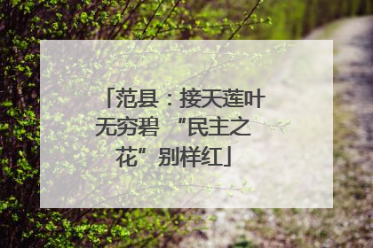 范县：接天莲叶无穷碧 “民主之花”别样红
